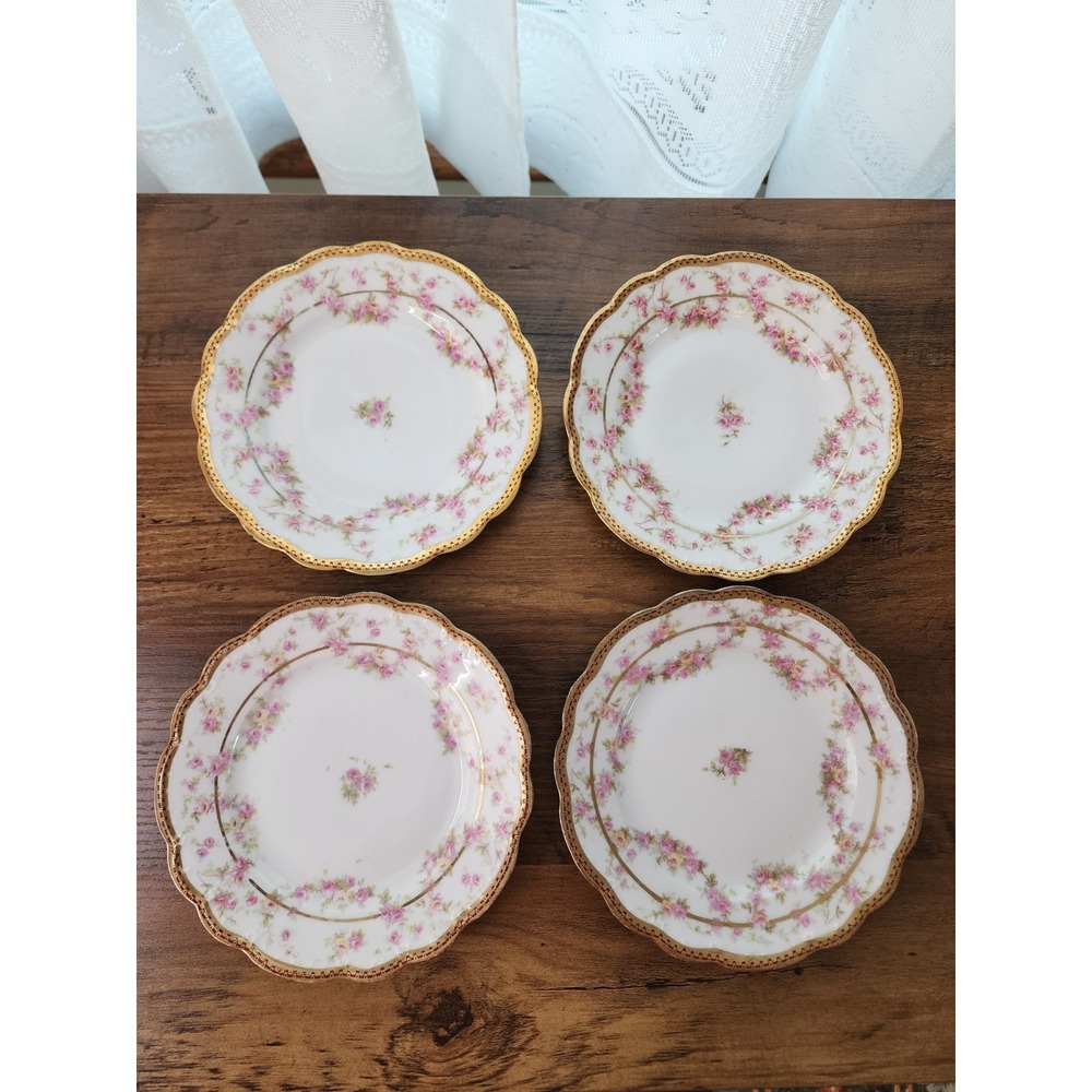 Kaiserin Maria Theresia Carlsbad‎ China Bread Plate 6" Bridal Rose MZ Austria